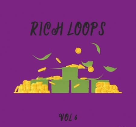 DiyMusicBiz Rich Loop Vol.6 WAV